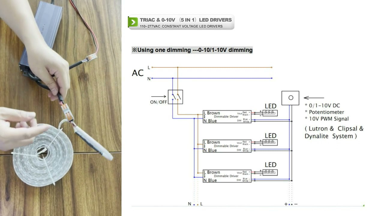 Triac+0 10v 5 in 1 dimmable led driver  how to do the 0 10V dimming connection
