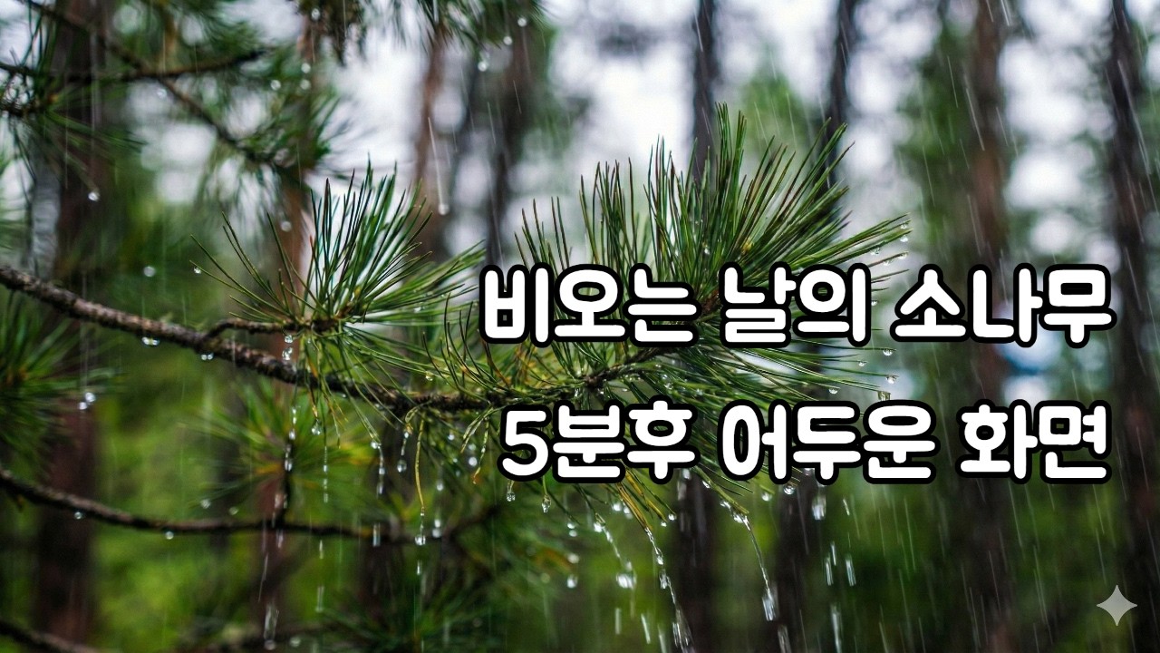 비오는 날의 소나무ㅣ 빗소리ㅣ수면유도ㅣ백색소음ㅣ불면증해소ㅣ자장가ㅣASMRㅣ집중력향상ㅣRain sounds for sleeping l White noise