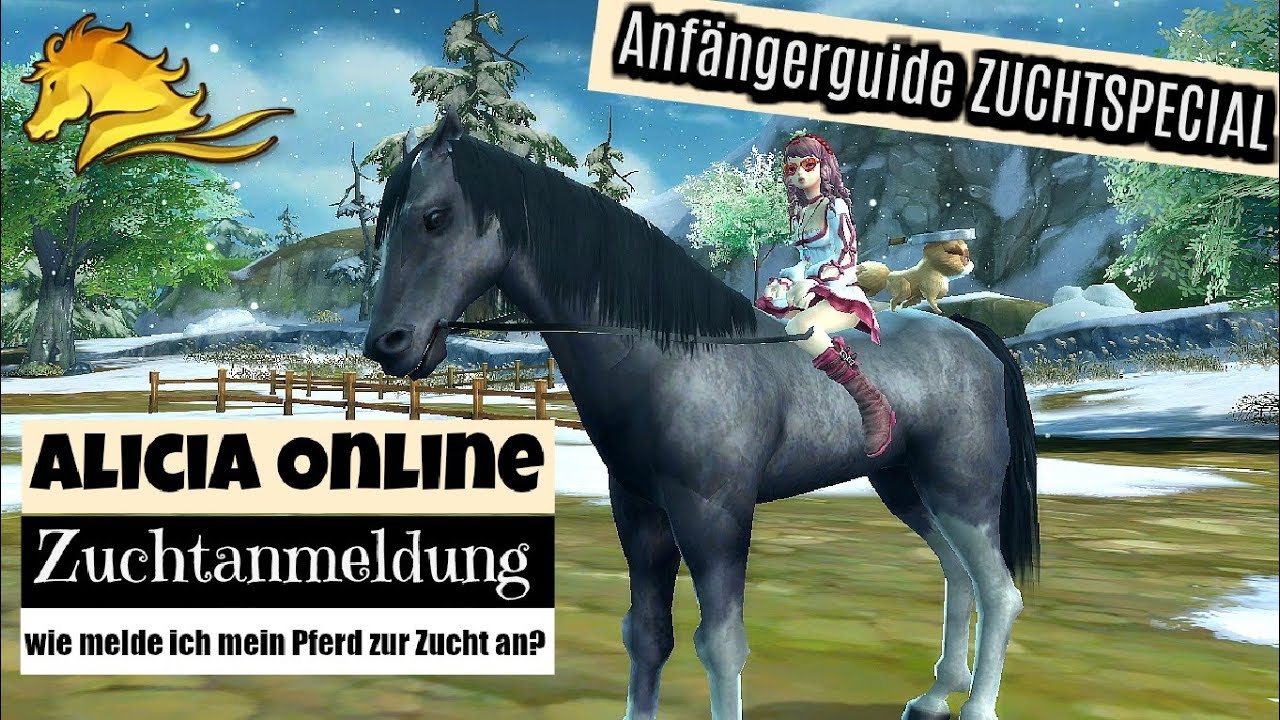 Alicia Online [AO]: WIR MELDEN OSTWIND ZUR ZUCHT AN | Anf&auml;ngerguide #6 Zuchtanmeldung [DEUTSCH]