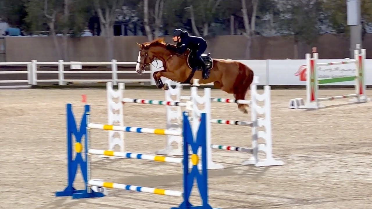 Diva DXB (Ogano Sitte × Calvaro Z) Practicing her jumps under the lights. 🕊️💎🪽