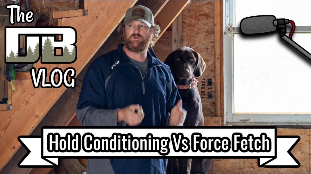 Hold Conditioning Vs Force Fetch | Ep: #178