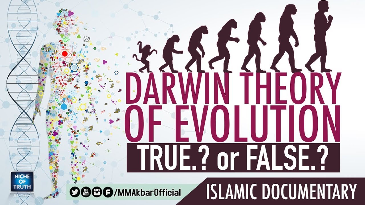 DARWIN THEORY OF EVOLUTION TRUE OR FALSE 