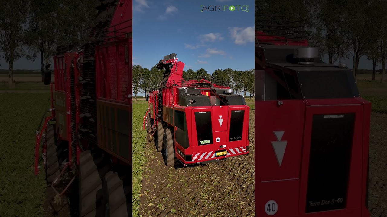 Sugar beet 2024 *NEW* | Holmer Terra Dos T5-40