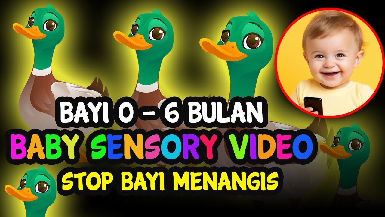 Tontonan Bayi 0 - 6 Bulan | Bebek Lucu Untuk Menghibur Bayi