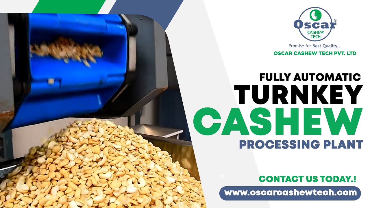 Fully Automatic Turnkey Cashew Processing Plant, Automatic Cashew Processing Plant #oscarcashewtech
