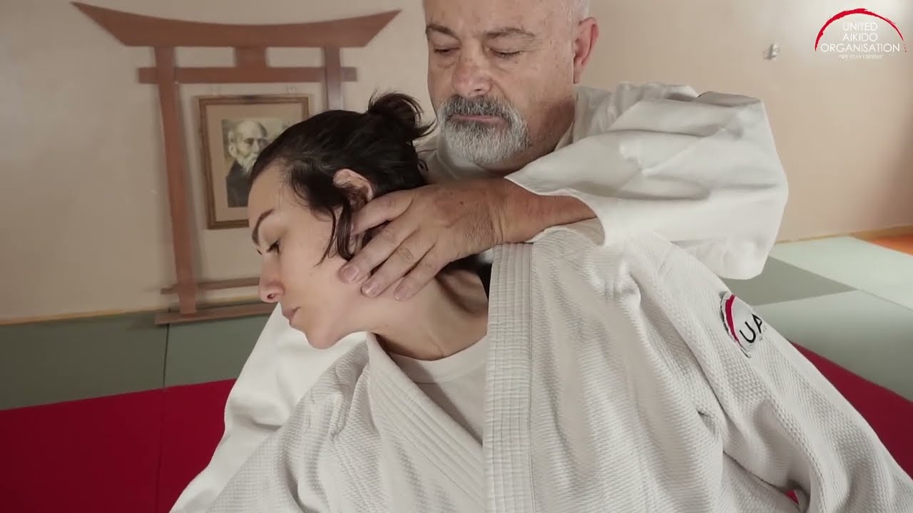 8 - Shomen Uchi - Irimi Nage