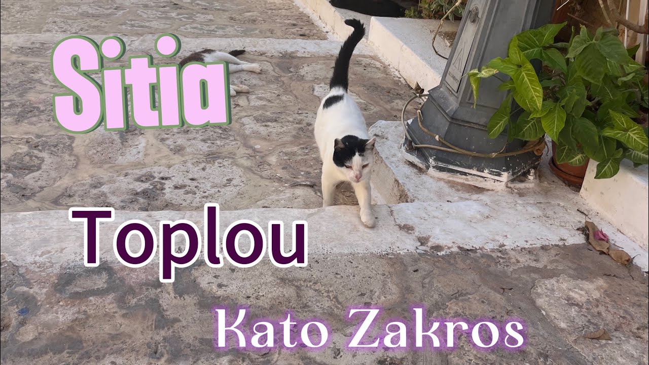 Jednodniowa Wycieczka po Sitia, Tolopu i Kato Zakros- Kreta wschodnia
