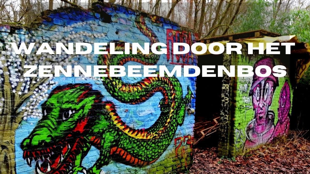 Wandelen door het Zennebeemdenbos in Mechelen