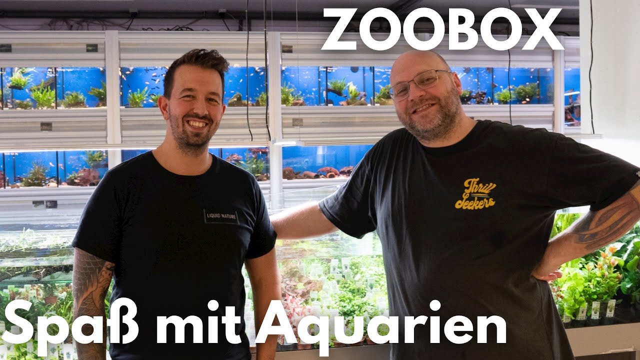 Spaß mit Aquarien! bei @ZOOBOXde mit @AQUAddicted | Liquid Nature on Tour