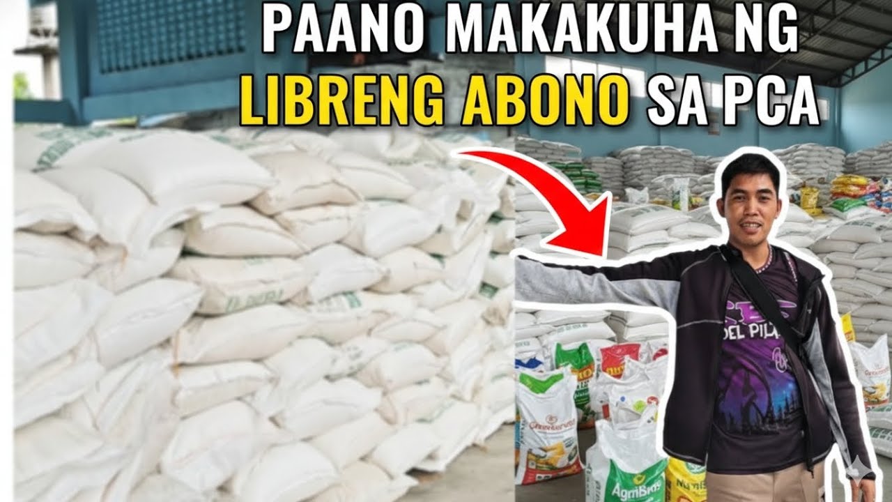 Paano makakuha ng Libreng abono sa PCA
