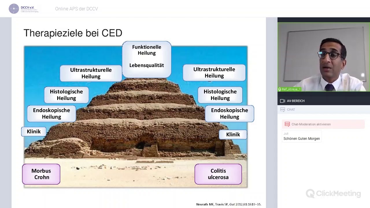 DCCV-Online-APS 2020 - Vortrag: Differentialtherapie bei CED