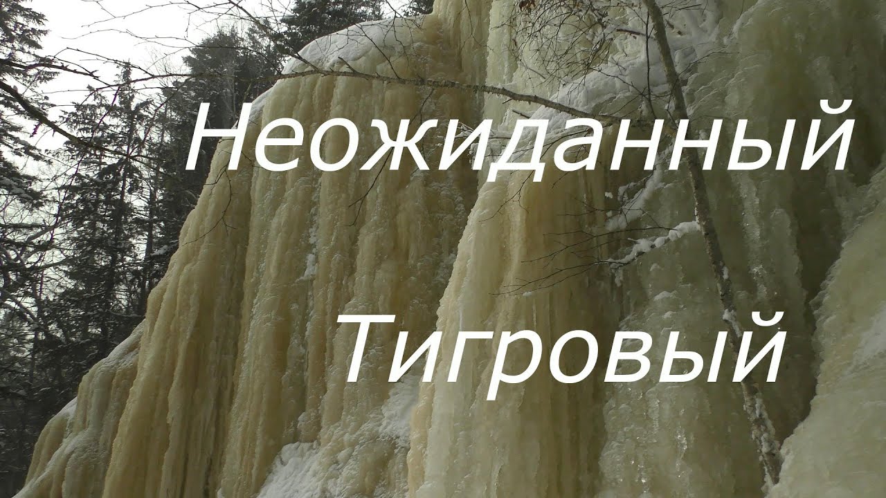 Шкотовские водопады Неожиданный и Тигровый в Приморском крае |Февраль 2023 | 4K