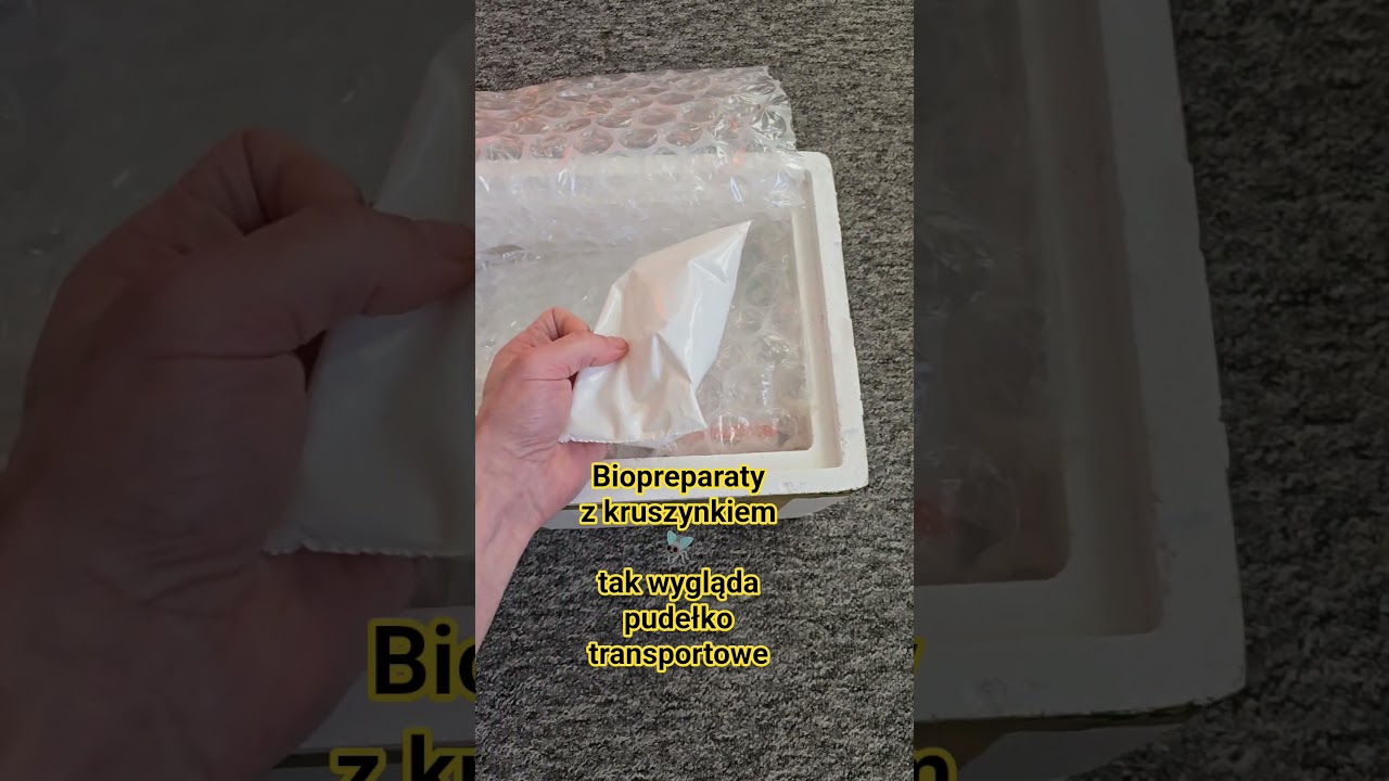 Biopreparaty z kruszynkiem (Trichogramma ssp.) - tak przyjeżdżają do Polski 🪰 #dionp
