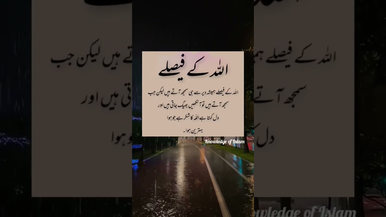 Allah k fesly |🥹🫀💗🥰❤️|#isalmicviralshort #newshort #subscribemychannel #knowledgeofislam #loveallah