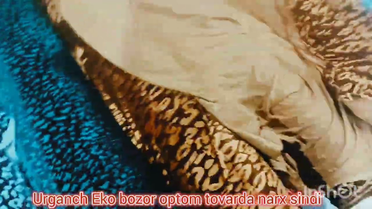 Urganch Eko bozorda optom tovarlarda narx arzonlashdi  xammasi sifatli tovarlar