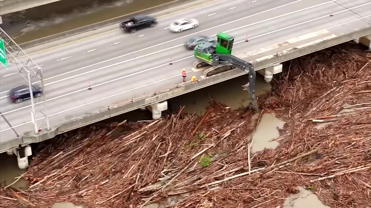 Tree log jam on Snohomish River in Washington state