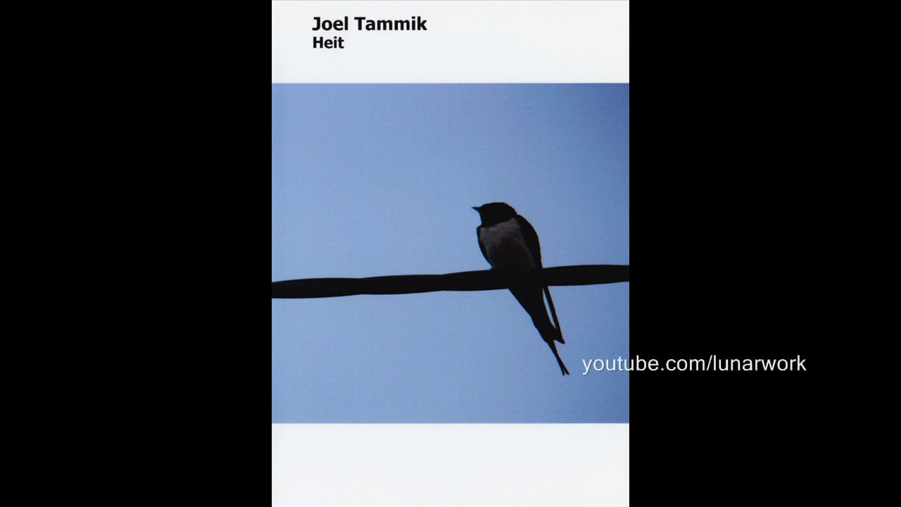 Joel Tammik - Heit