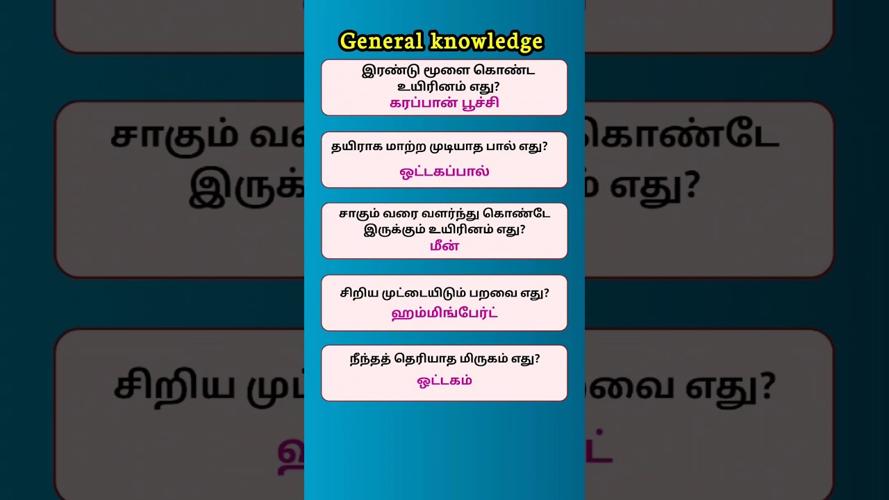 GK Q&A tamil | general knowledge tamil 13 #gk #tamil #facts #generalknowledgetamil
