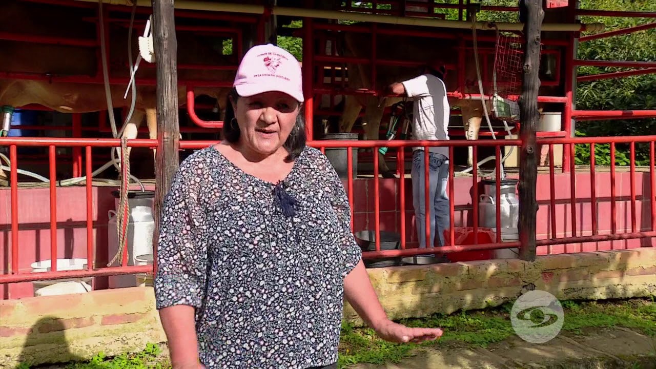 Leche jersey, entre las mejores del mundo | La Finca de Hoy
