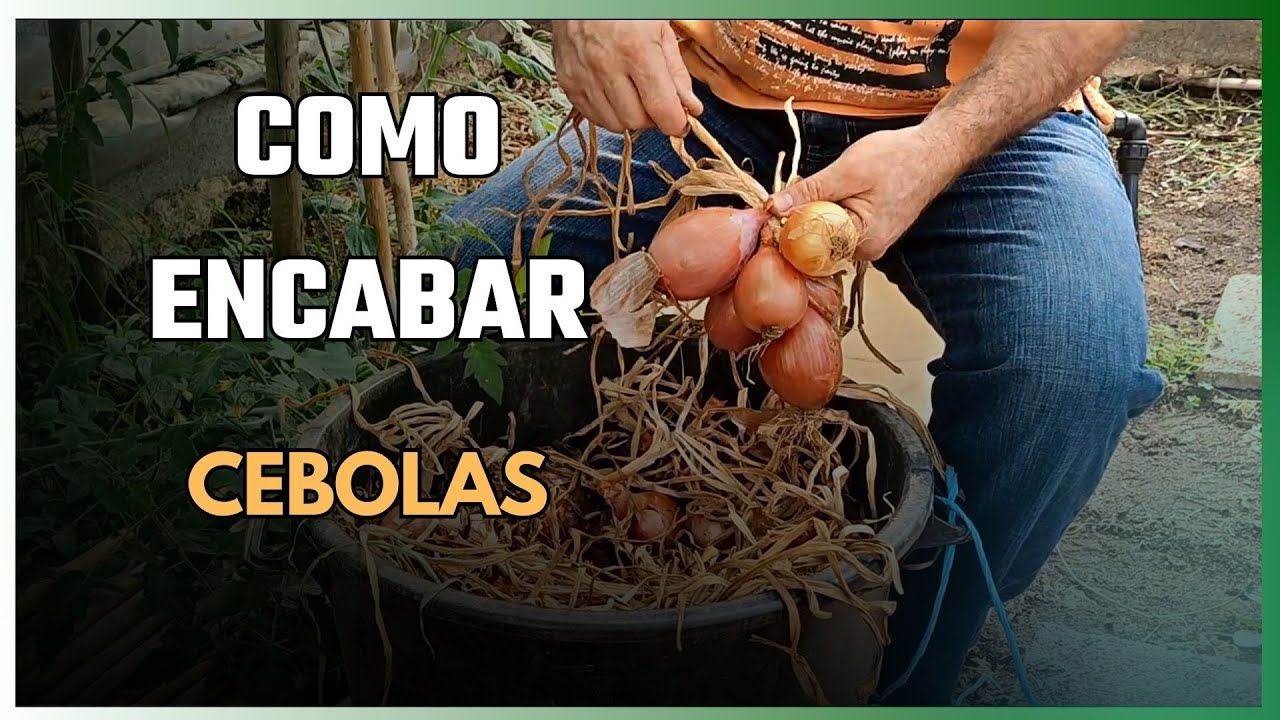 Como 