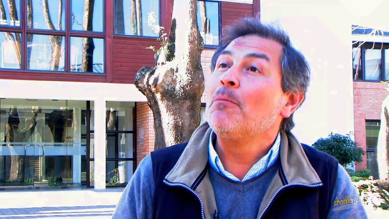 Mercado de Concepción 