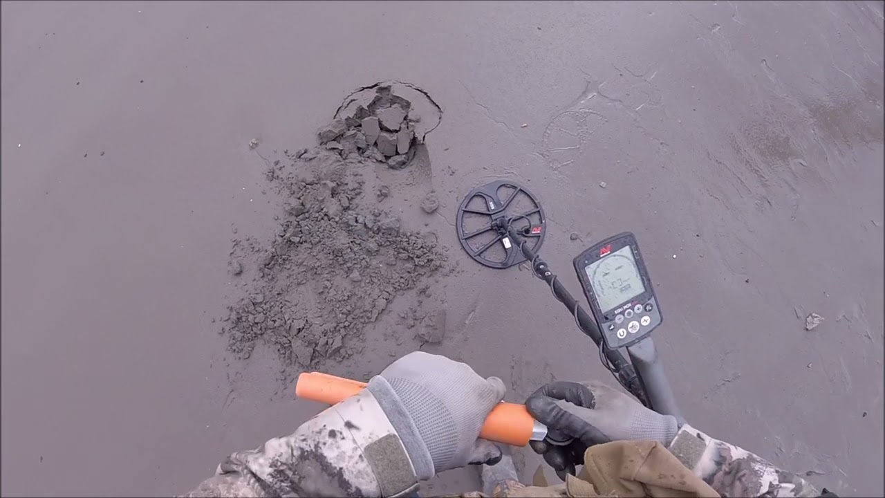 Metal Detecting Along The Fraser River