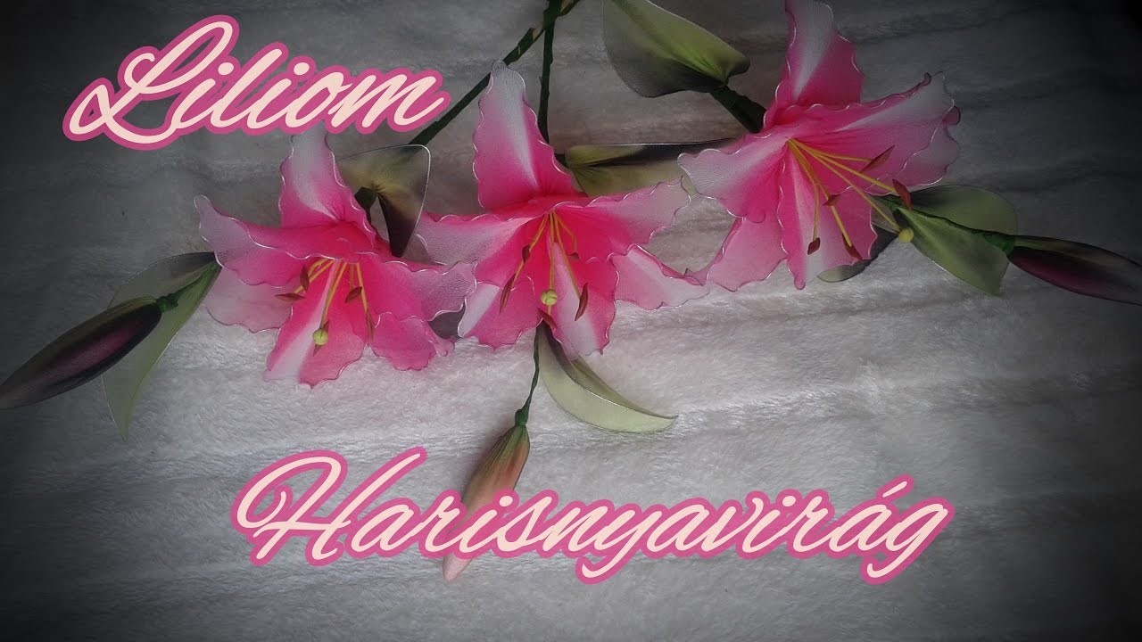 Liliom harisnyavirág, Nylon flower Lilly