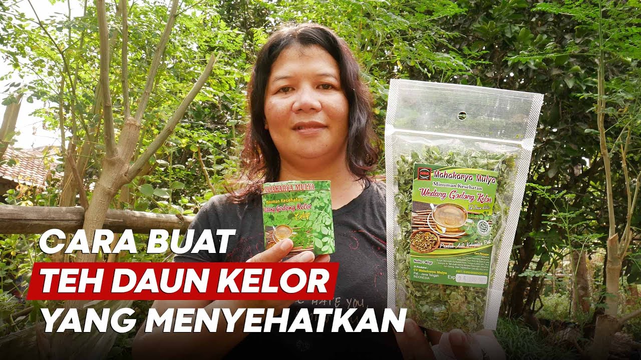 Proses Pembuatan Teh Daun Kelor yang Benar Agar Khasiatnya Nggak Hilang