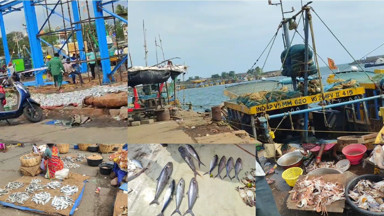 Vizag Fishing Harbour || Visakhapatnam Big Fish Market || Sea Fish Market #vizag