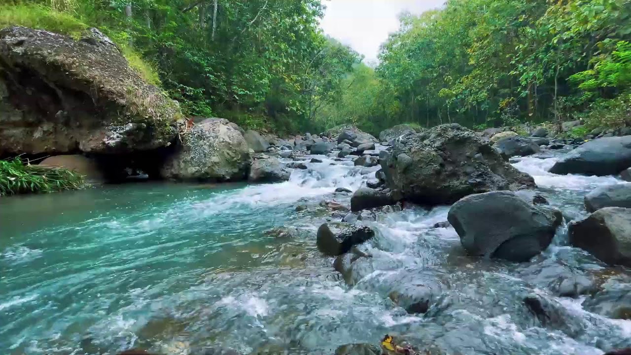 River Sounds for Deep Sleep (No Music, Natural Water)