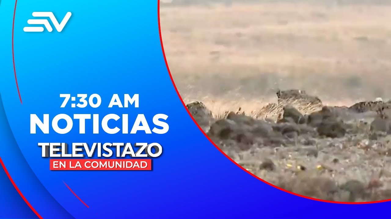 La ausencia de lluvias origina la reducción del caudal del río Pita  | Televistazo | Ecuavisa