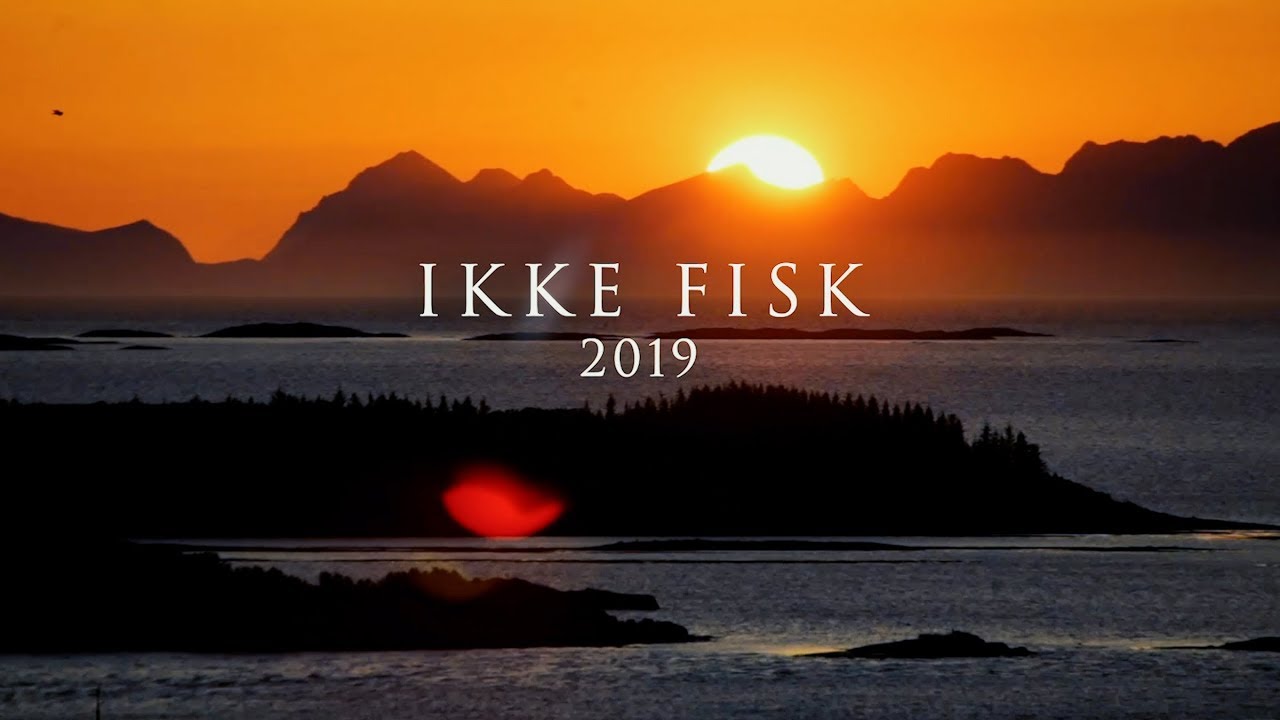 Ikke Fisk 2019 Nordskot Osa 2