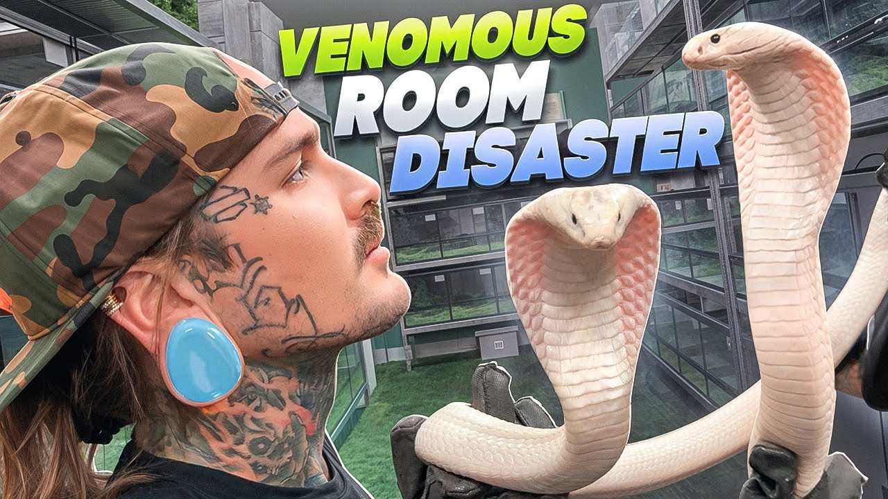 Venomous Snake Room IS A DISASTER!!!