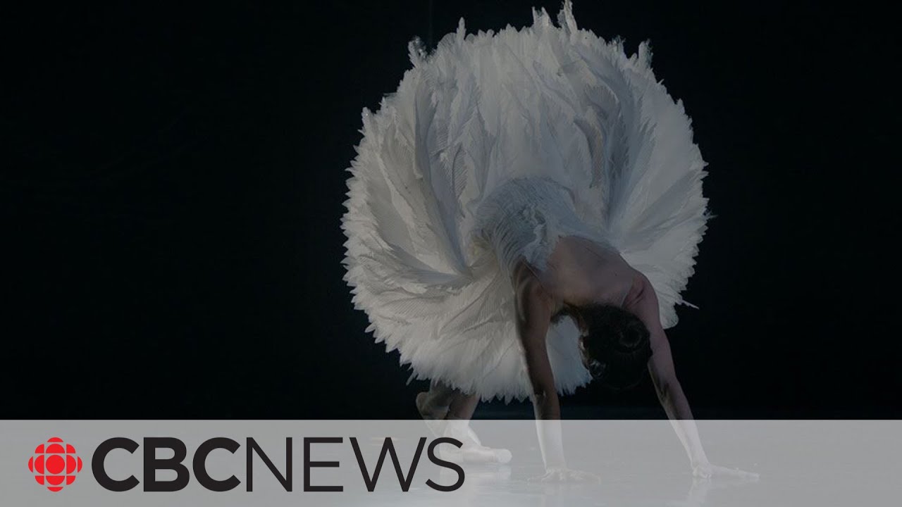 CBC's film critics pick their top 3 TIFF flicks