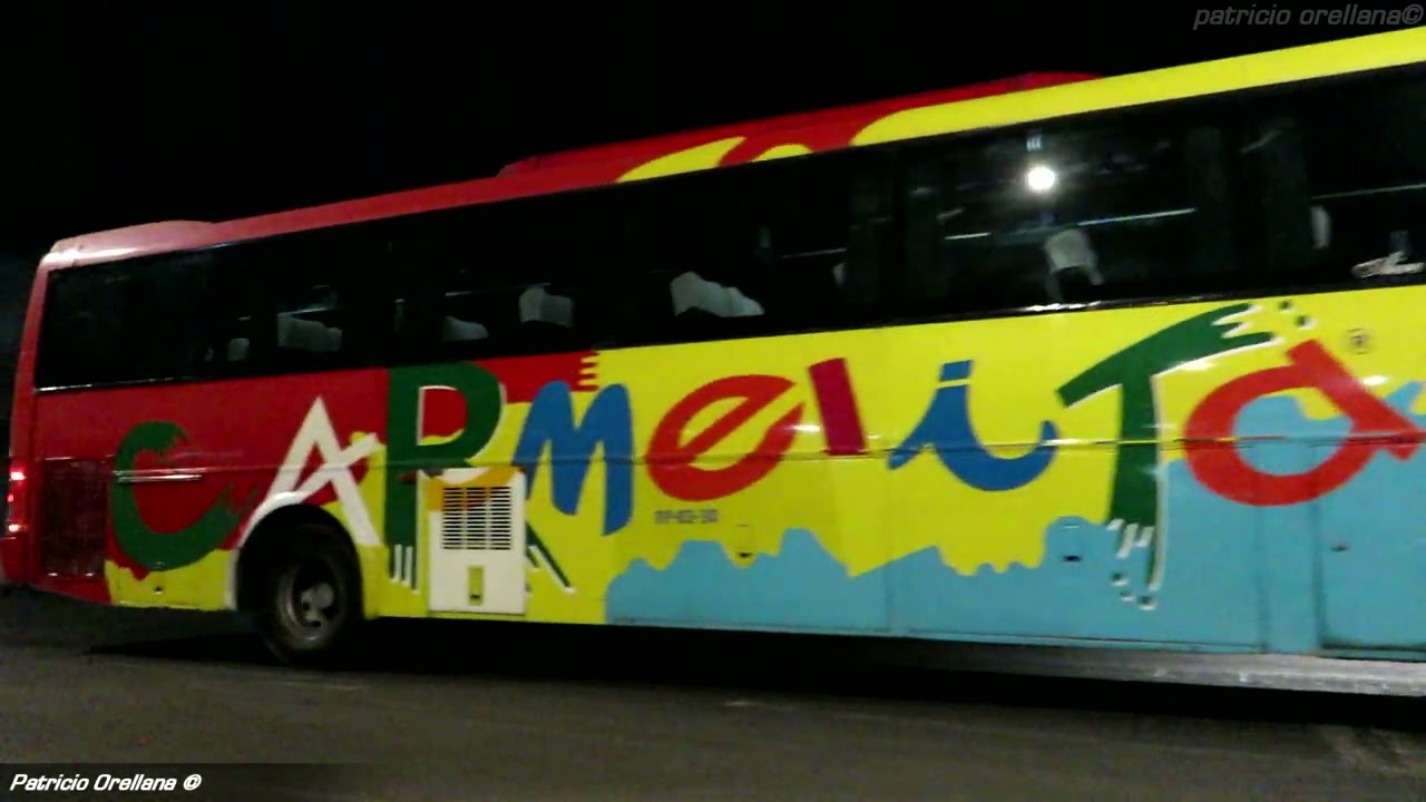 buses en el terminal rodoviario de arica | carmelita, atacama vip, sanhueza, norte grande, turbus !