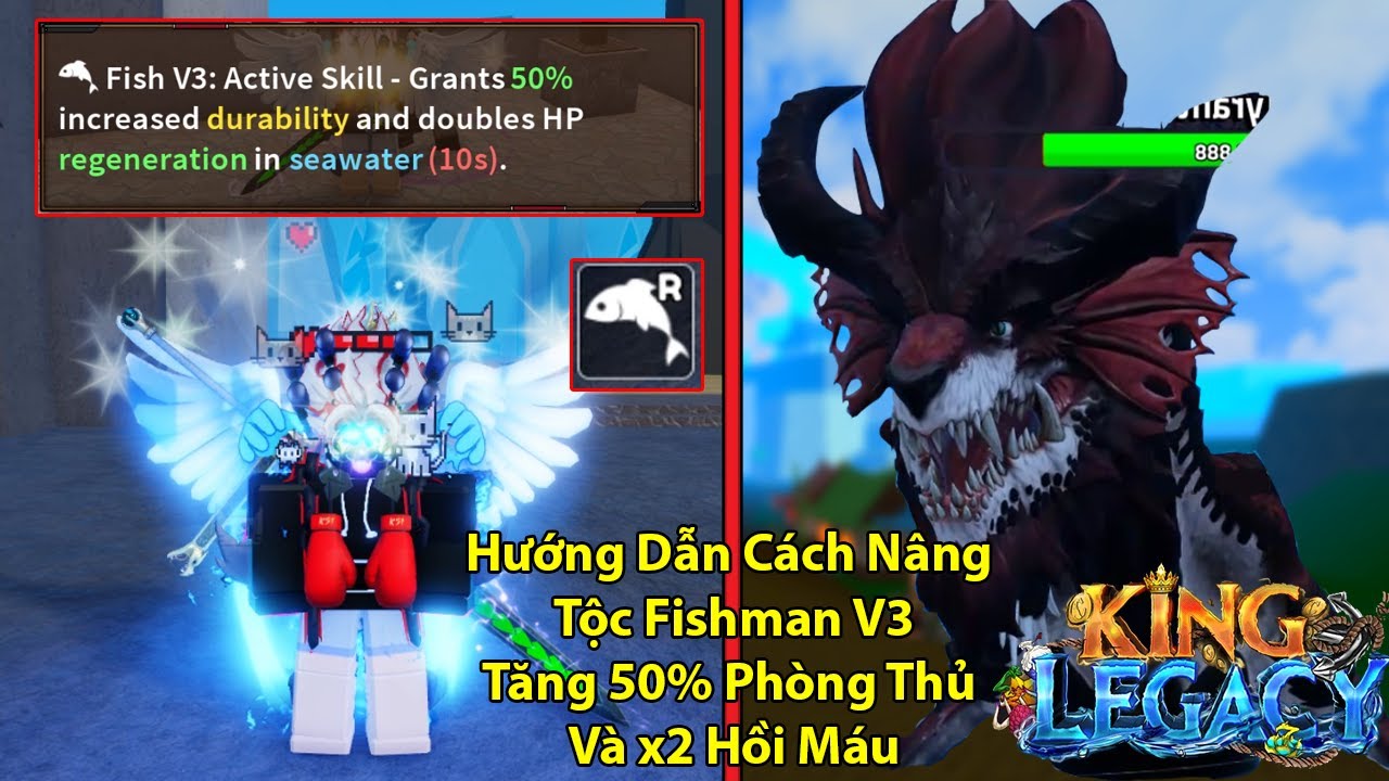 KING LEGACY | Hướng Dẫn Cách Nâng Cấp Tộc Fishman Lên V3 Tăng Phòng Thủ Thêm 50% Và x2 Hồi Máu?