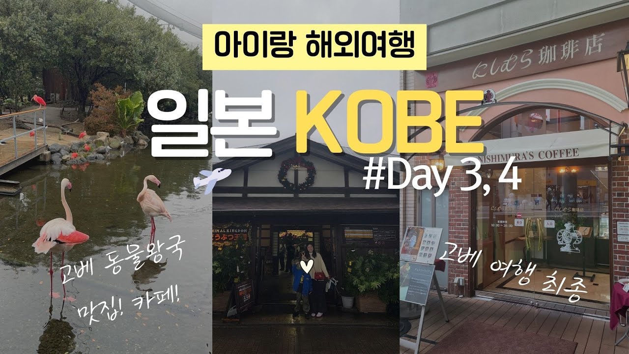 [일본 고베 여행] 고베 여행 3–4일차 VLOG｜고베 동물왕국 · 산노미야 맛집 · 드론쇼 · 쇼핑으로 마무리