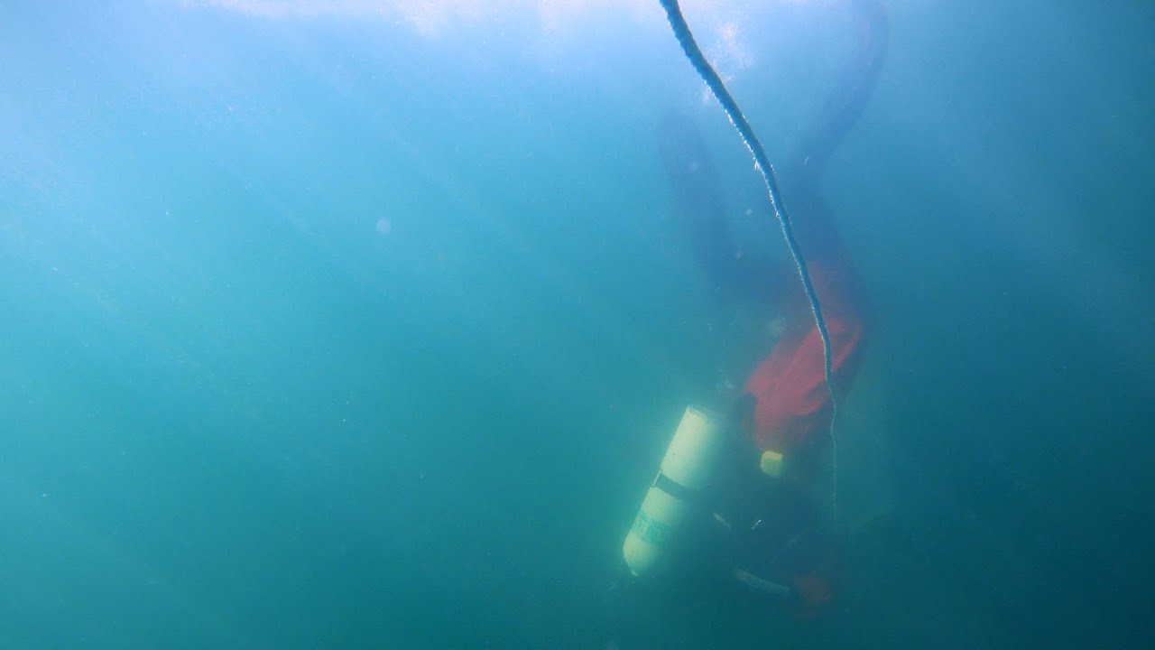 Fishery Vignette | David Tarr - Scallop Diving