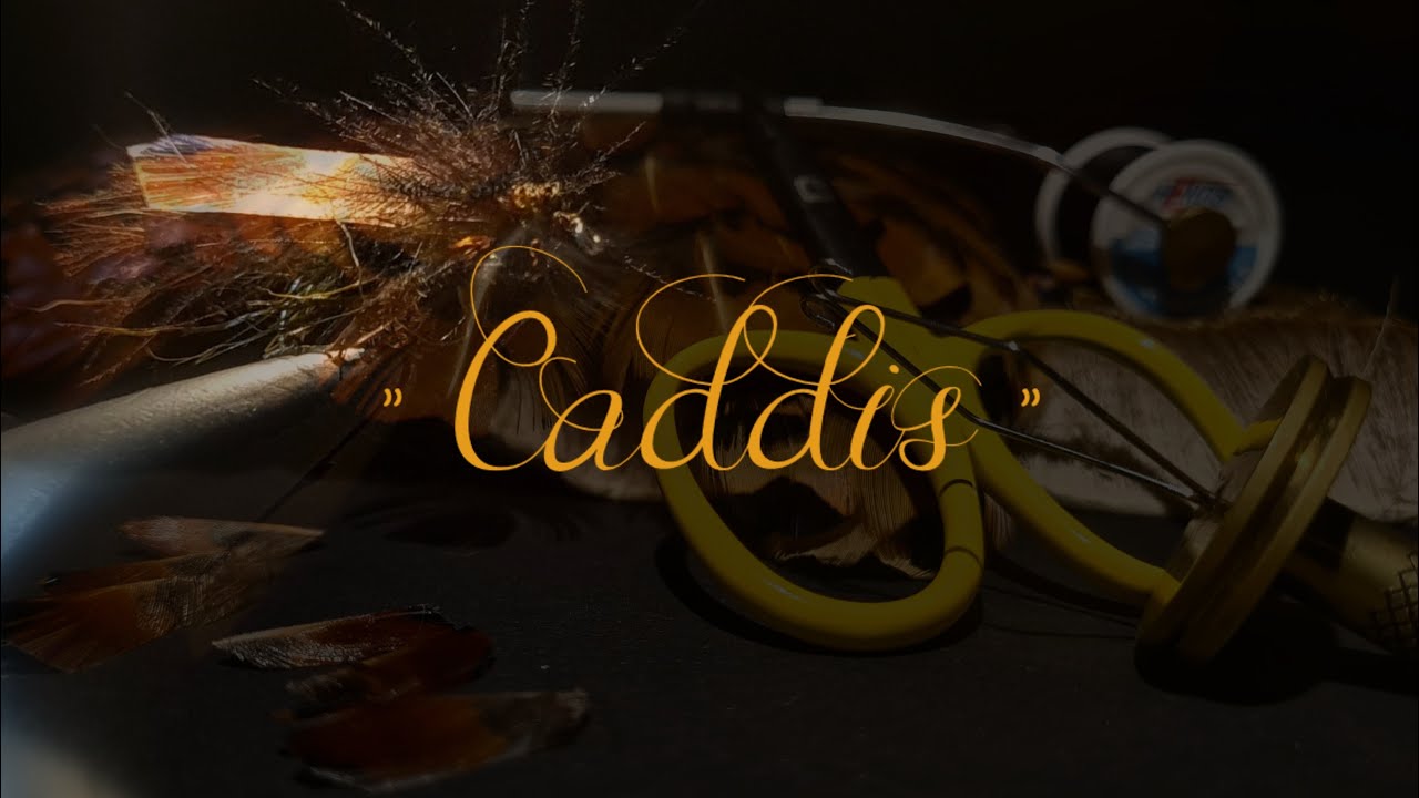 Caddis fly tying - dry fly piece