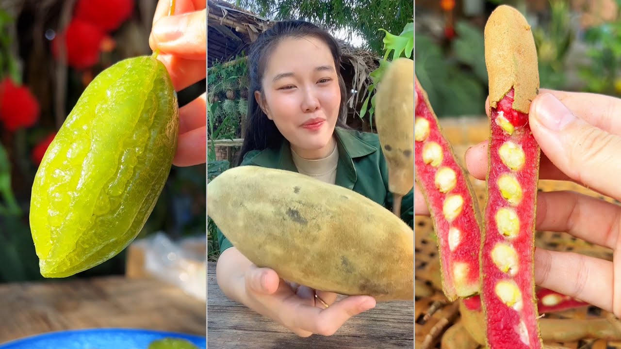 Ăn thử mứt khổ qua, trái bao báp Châu Phi và me đỏ #catlai 