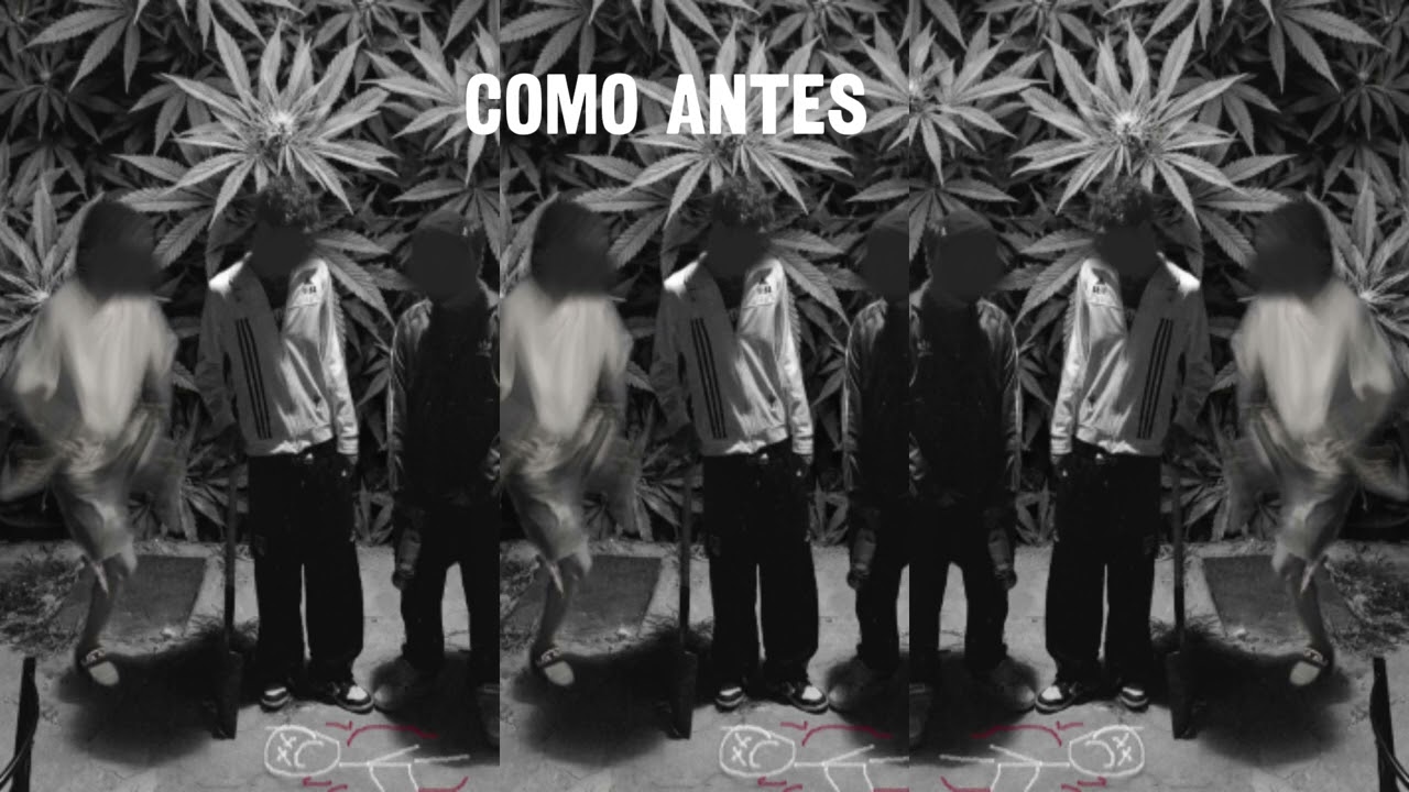 VAJIO | COMO ANT3S