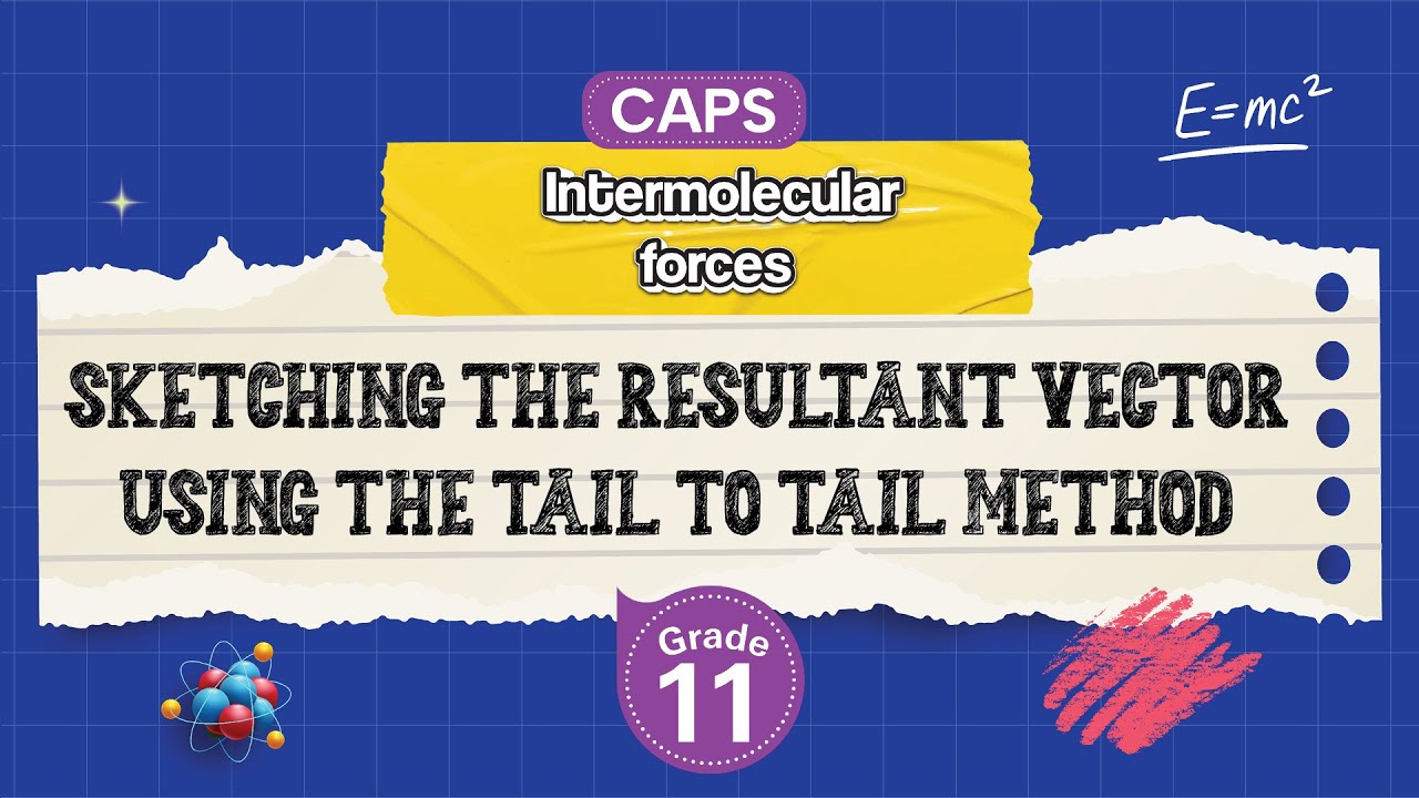[GRADE 11] Sketching the Resultant Vector using the Tail to Tail Method