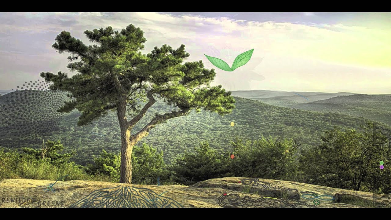 Rewilded Greens - Earthy psybient mix