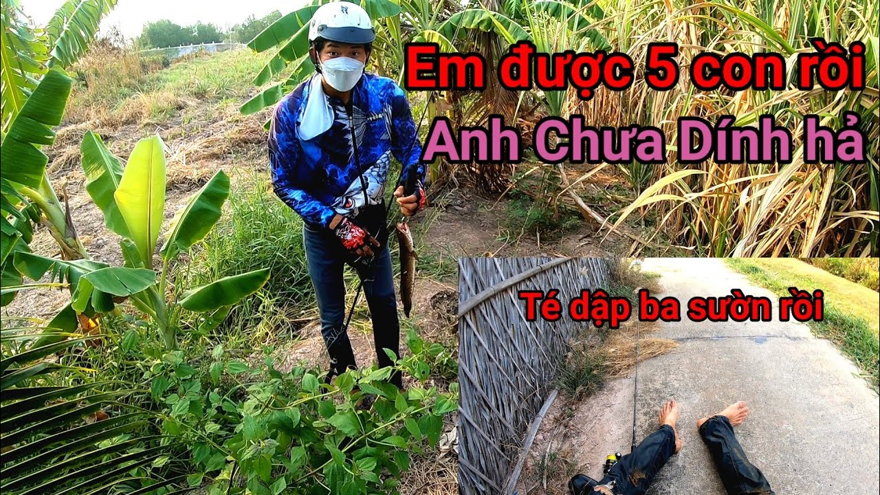 Câu Cá Lóc Trên Đường Kênh || Thần Móm Buông Tha Phút Cuối Cùng || VR Fishing #37