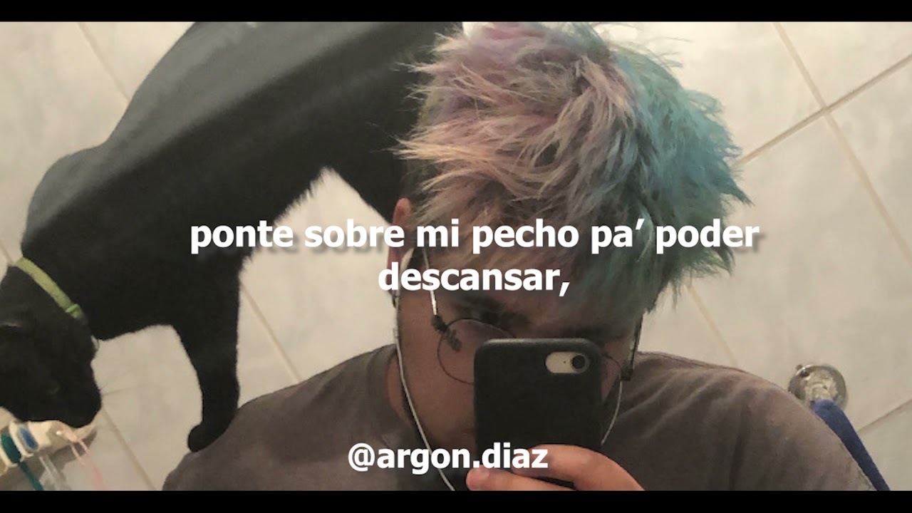 canci&oacute;n para mi gato - Argon Diaz (Lyric Video)