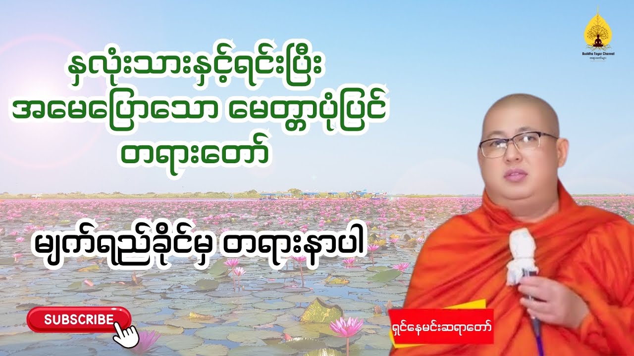 နှလုံးသားနှင့်ရင်းပြီး အမေပြောသော မေတ္တာပုံပြင် တရားတော် - ရှင်နေမင်းဆရာတော်