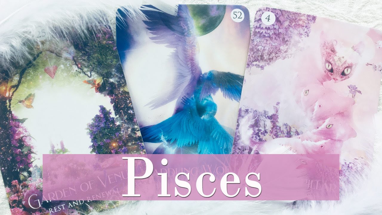PISCES - They're a little worried you won't be interested in them. Someone new!