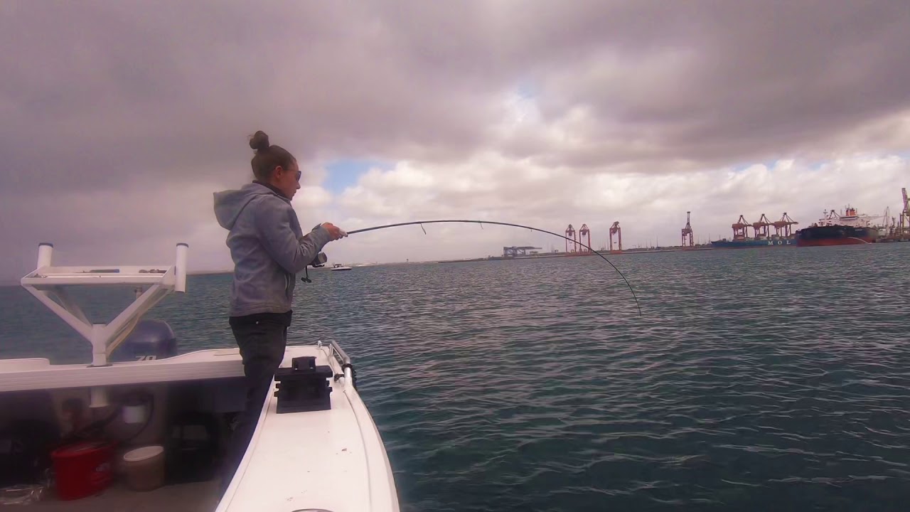 Botany Bay 70+cm KINGFISH Solo - SPIKES Fishing Australia