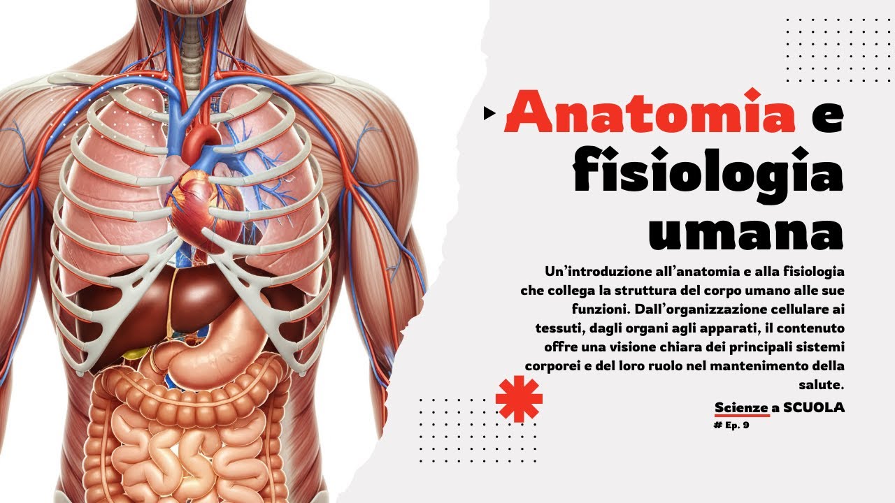 Anatomia e Fisiologia Umana (#il corpo umano)