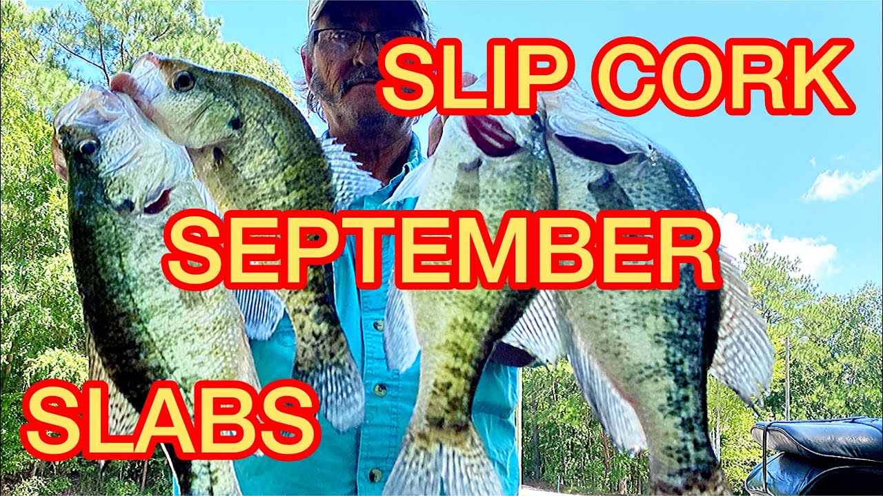 CRAPPIE FISHING IN SEPTEMBER 
“GET THE NET”